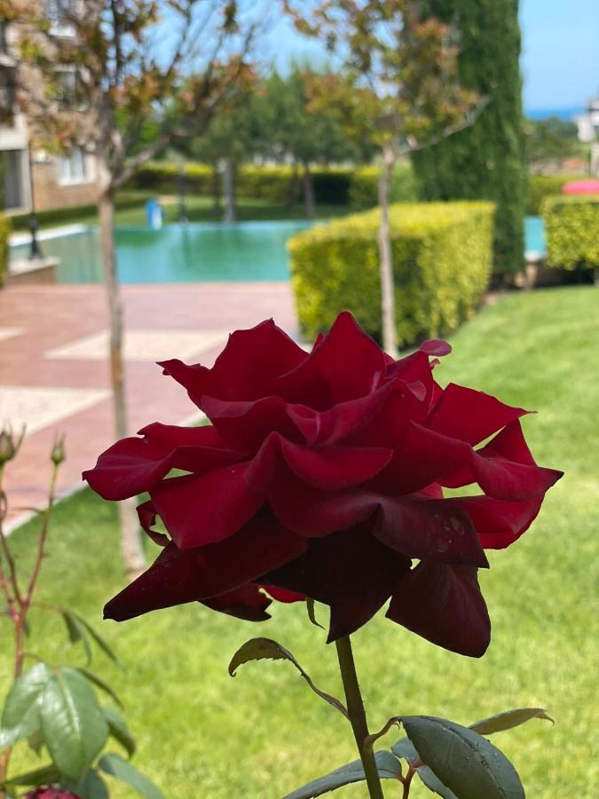 Provence Deluxe Apartment In Atia Resort เชอร์โนโมเรทส์ ภายนอก รูปภาพ