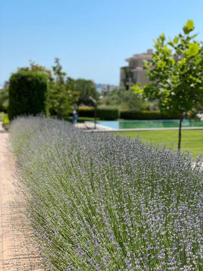 Provence Deluxe Apartment In Atia Resort เชอร์โนโมเรทส์ ภายนอก รูปภาพ